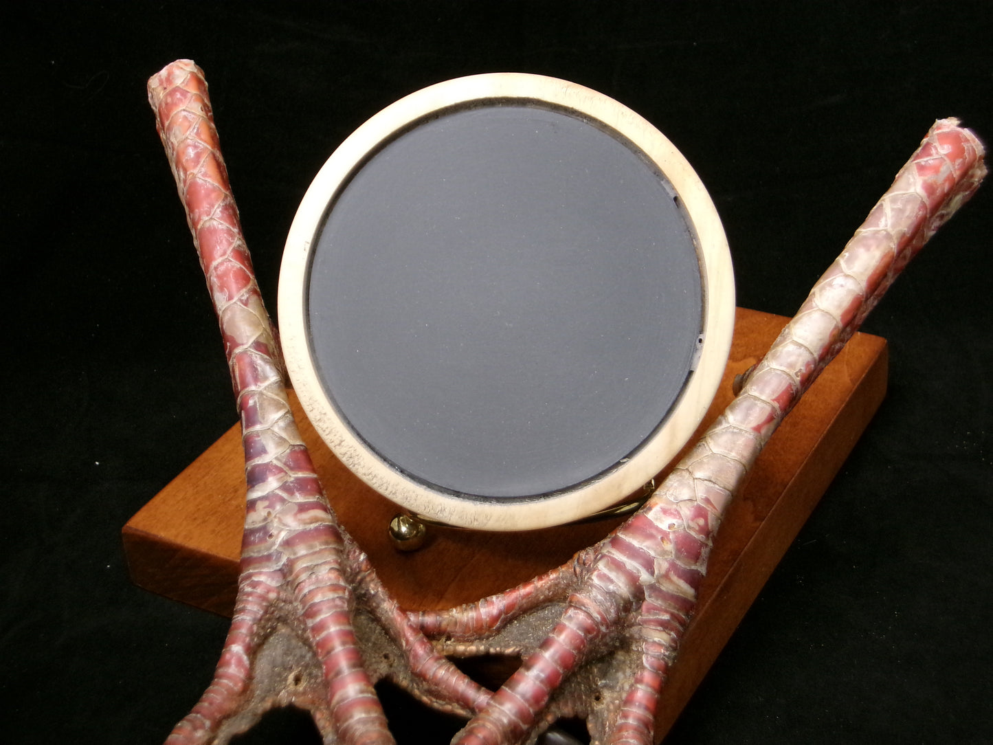 3.25" Box Elder Wood Tree Talker Slate Friction Call