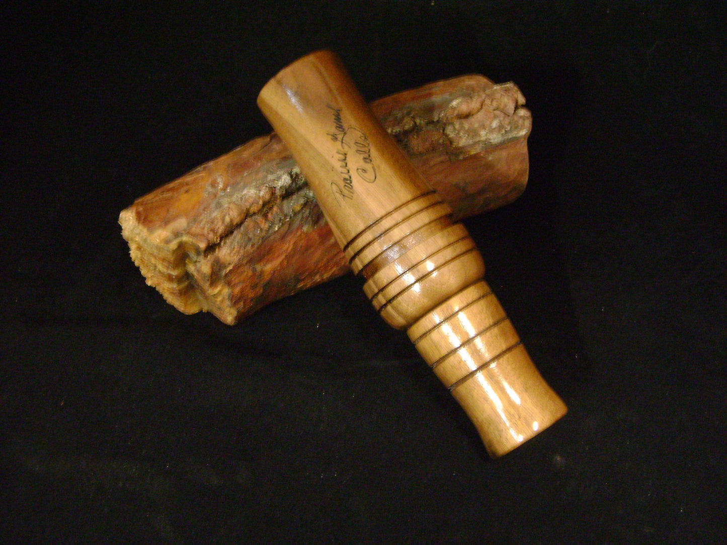 English Walnut Owl Call