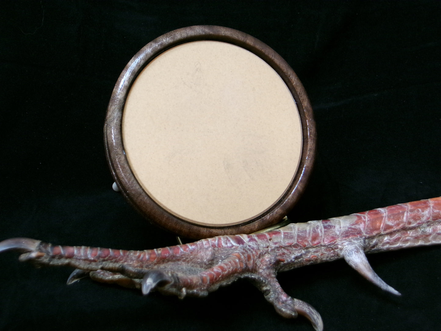 3.5" Black Walnut Ceramic/Glass Friction Call